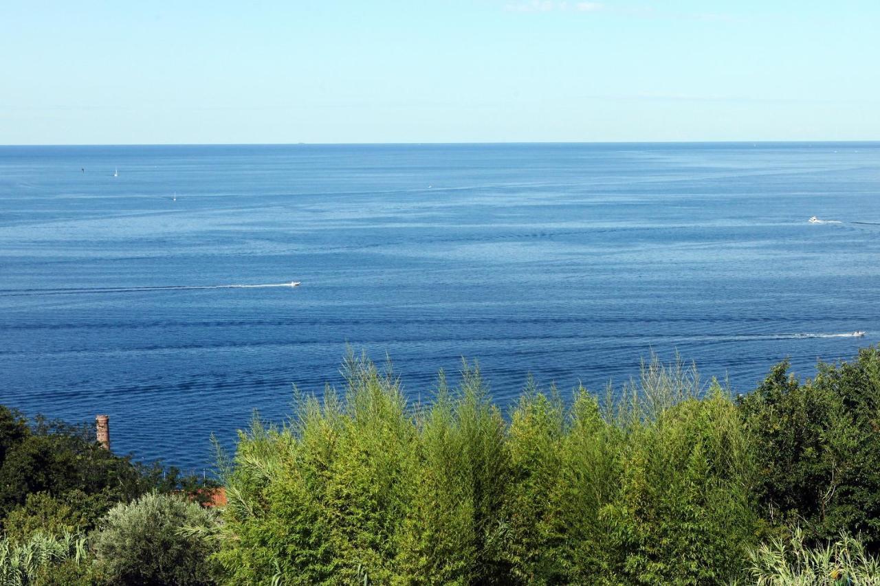Sea View Apartments Orko 波尔托罗 外观 照片